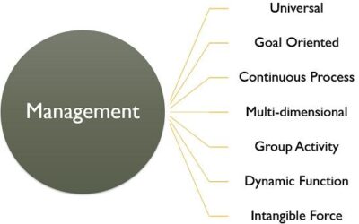 Why flavors of Management?